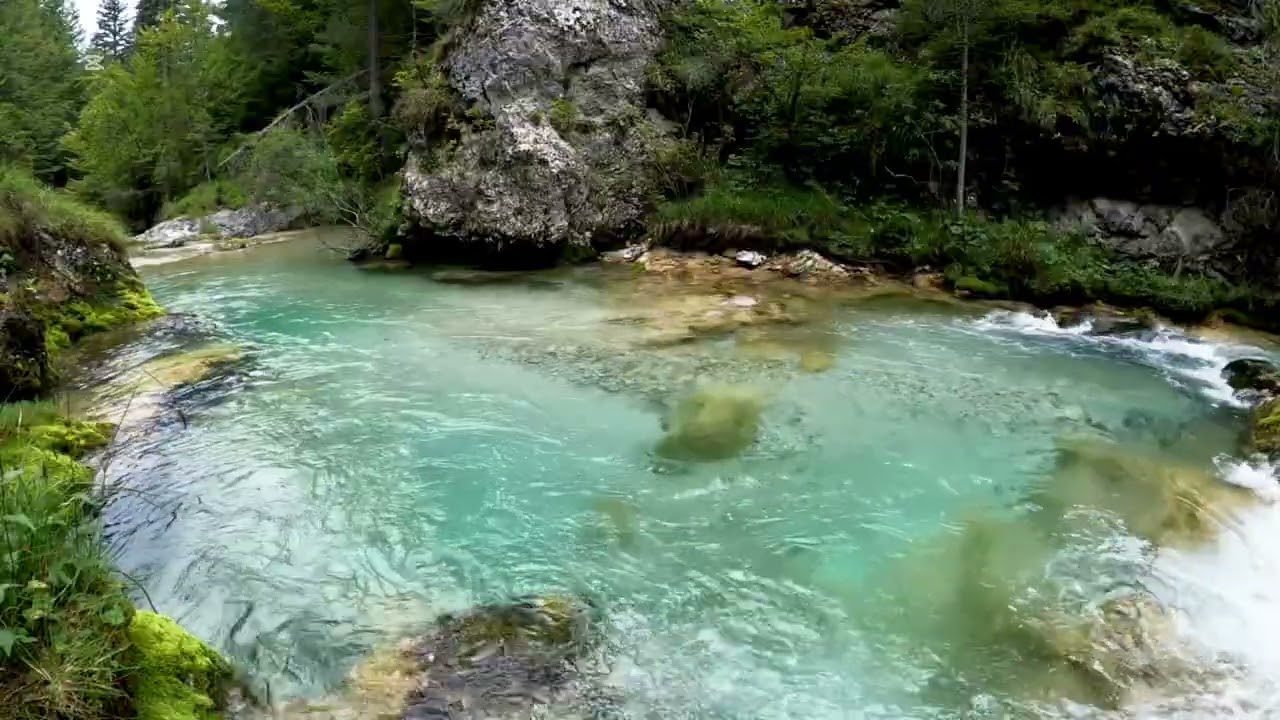 ASMR Mountain Stream & Solitary Bird Singing  1.5 Hours of Calm for Deep Sleep