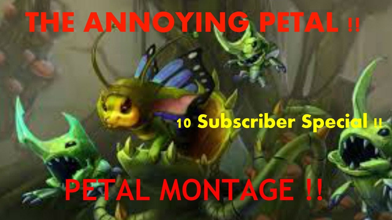 Montage Ep. 1 | Annoying CP Petal | Best Hero?