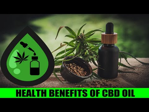 Why Sweat Cbd Gummies Are The Best On The Market