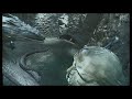 ハリーvsバジリスク