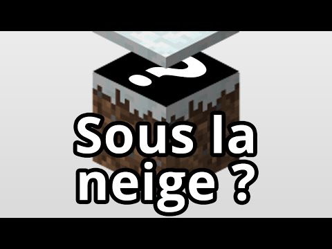 Vidéo: Qu'y a-t-il dans la couche de sous-bois?