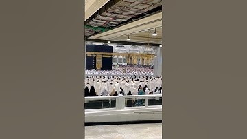 يبصرونهم يود المجرم لو يفتدى من عذاب يومئذ ببنيه #سورة_المعارج #الشيخ_ياسر_الدوسري