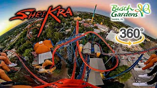 VR 360 Sheikra Roller Coaster On Ride Front Row POV Busch Gardens Tampa 2023 10 31