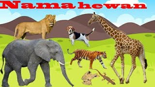 Belajar nama hewan 2022 | tebak gambar 2022