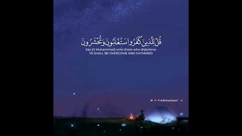 قرآن كريم بصوت عبد الرحمن مسعد حالات واتس اب دينية سورة آل عمران360P