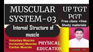 Internal structure of muscle  UGC-NET,TGT PGT DSSSB & KVS Physical education || By - # Vinay Pratap screenshot 5