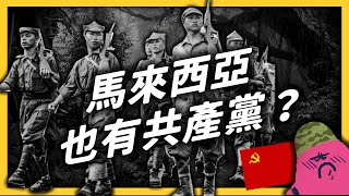 總書記是三面諜，還在叢林裡打了40年游擊戰！馬來西亞共產黨究竟是什麼神秘的組織？｜志祺七七