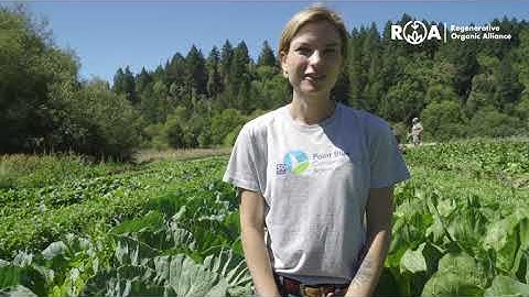 How to Measure Soil Aggregate Stability