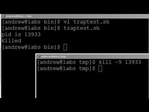 BASH scripting lesson 8 using TRAP to control scripts