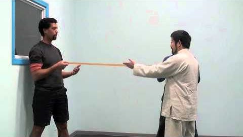 Horse Stance in Chen Taiji (tai chi)