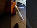 FBINAA expert clean tospaste