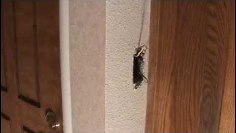 How to install a dimmable LED light switch...Part 2