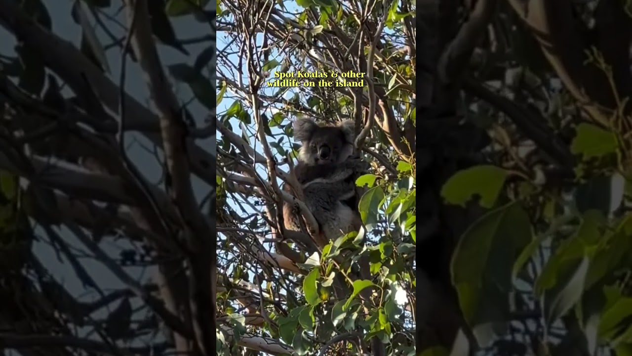 Day Trip to French Island! 