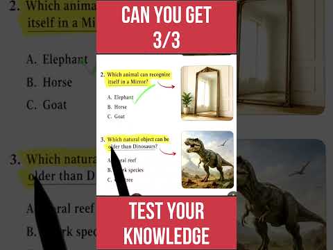 Starfish, Ant and Wombat Quiz #shorts