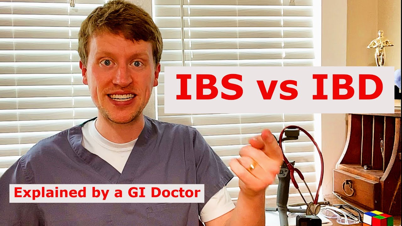 IBS vs IBD What's the Difference? Explained by a GI Doc YouTube