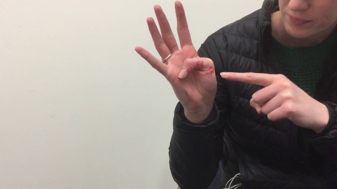 Dan Siegel’s Flipping Your Lid YouTube