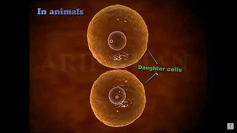 EUGSC(11.7.2021):Class:ix,Sub:Biology(Lec:23),Chap:3(Part-3),Shayla Parvin