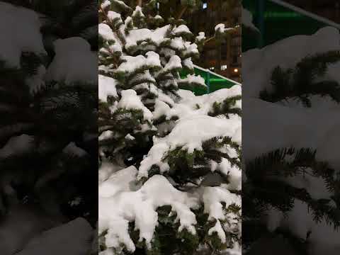 В Москве волшебная зима❄️