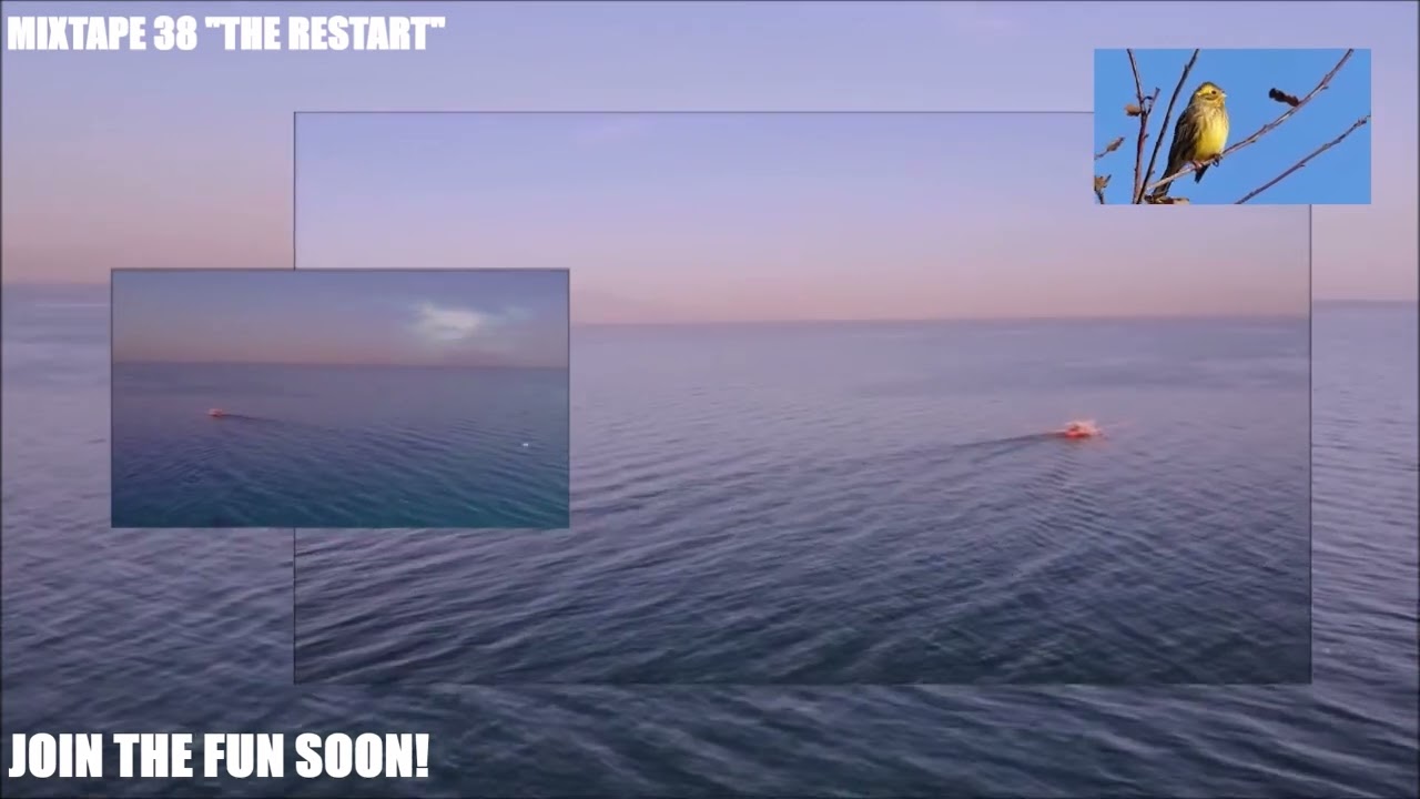 Mixtape 38 - The Restart // Invitation // Freddy & Friends // 2026, February the 15th