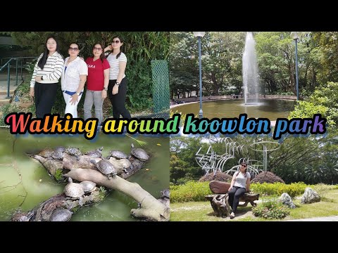 Walking around koowlon park