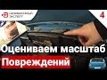 ЖУЖИК ПРИЕХАЛ! 3800 км. На Эвакуаторах!