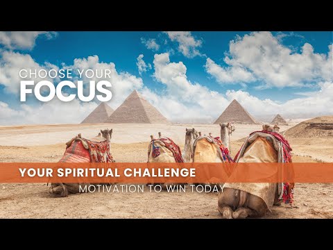 Choose Your Focus - August 5