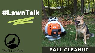 Fall cleanup -  Stihl BR800