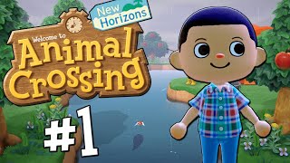 Animal Crossing: New Horizons | A New Leaf