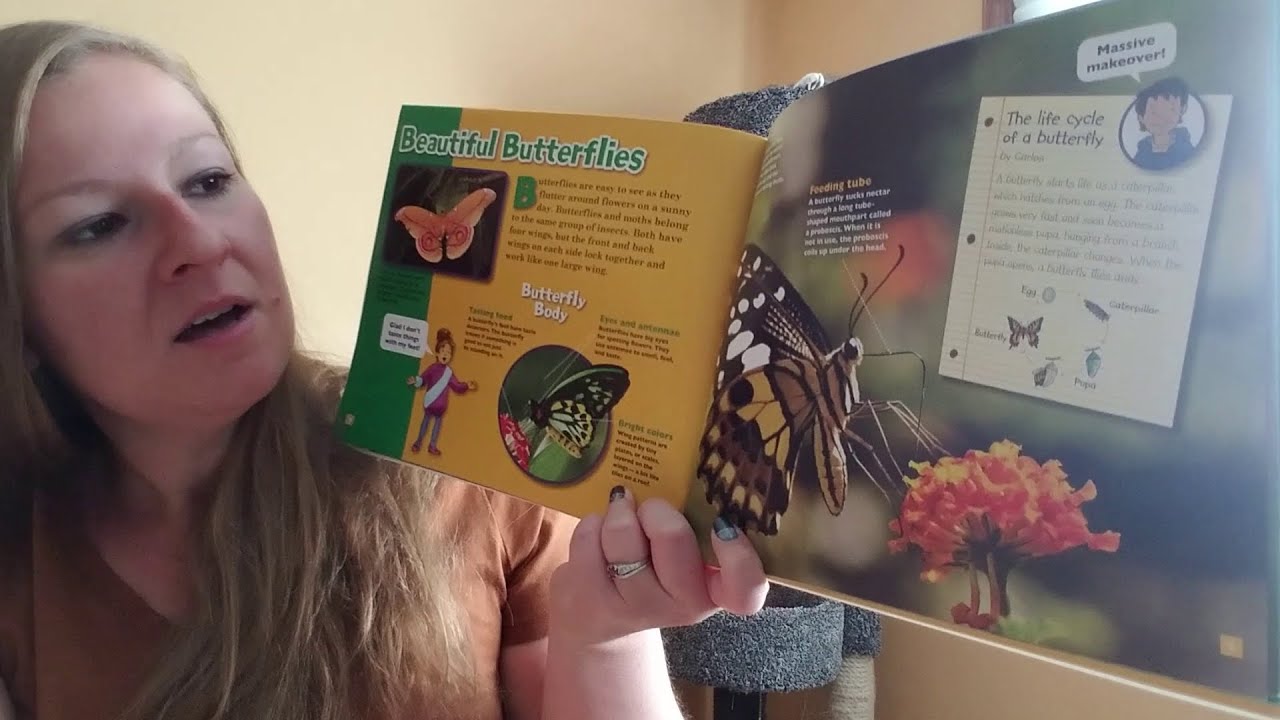 The Magic School Bus Presents: Insects - 5/18/21 - YouTube