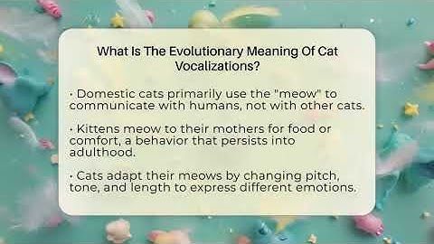 What Is The Evolutionary Meaning Of Cat Vocalizations? - Happy Cat Handbook