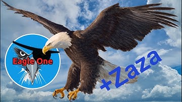 Agma.io Eagle TeamDestroy/MacroPopsplit/Splitrun