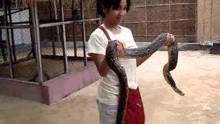 Bali Turtle Island