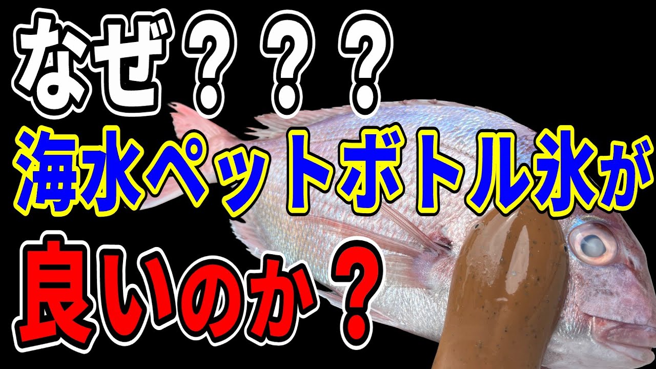 釣り初心者でも出来る！魚を究極の鮮度で持ち帰るコツ