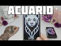 ACUARIO ♒️ SE MARCHA DE ESTE MUNDO⚰️😭 ESTA PERSONA TE HARA LLORAR🔮 HOROSCOPO #ACUARIO HOY TAROT AMOR