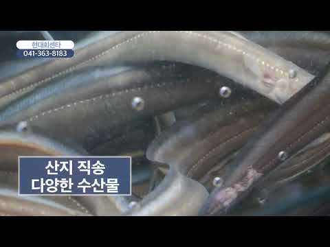[함께가게 CF] 충남 당진시 현대회센타