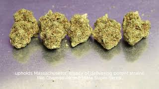 The Best of 2023 Top 5 Cannabis Strains for an Elevated Experience