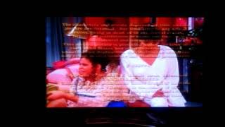 Warner Bros. Domestic Television Distribution (1994/1996)