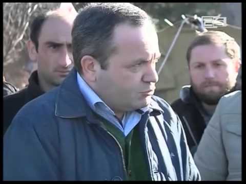 პარალელურად კი, ციხისძირში, ხეების გადარგვის საწინააღმდეგო აქცია გრძელდება