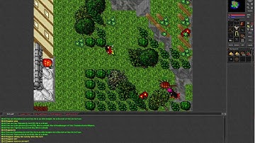 Tibia 7.3 (Level 18 Paladin kills AFK 54 Elite Knight and 48 Elite Knight on Isle of the Kings)