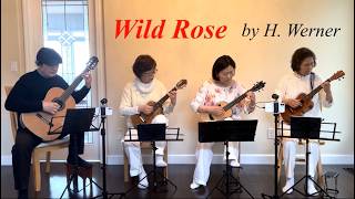 Haidenroselein(H.Werner) - VGU Ensemble