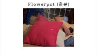 Flowerpot (화분) - Alex|Acoustic Cover with ENG Lyrics