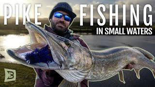 PIKE FISHING in small waters | Catching MONSTERS from the NEPTVN BOAT