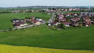 Flying over the yellow field