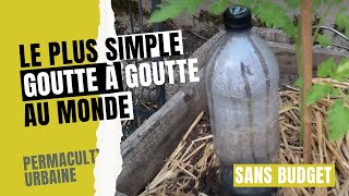 Kit Arrosage Goutte à Goutte Bouteille