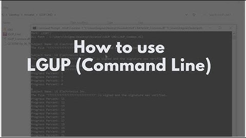 How to use LGUP (Command Line)