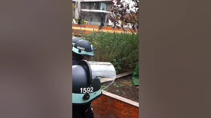 Police Leave a woman struggling to get upPriscilla...