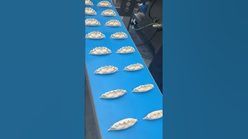 【锅贴机】#dimsumfrozen #potstickers #machine #dumplingmaker #dumplingmakingmachine #dumplings #factory