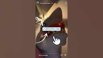 Shark Puppet Instagram Story