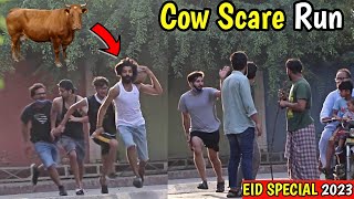 Ultimate Cow Scare Run Prank Eid Special 2023 Lahorified