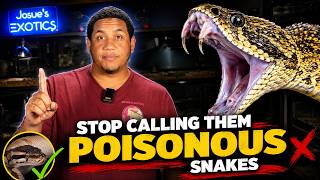 You’re Calling Snakes by the Wrong Name!